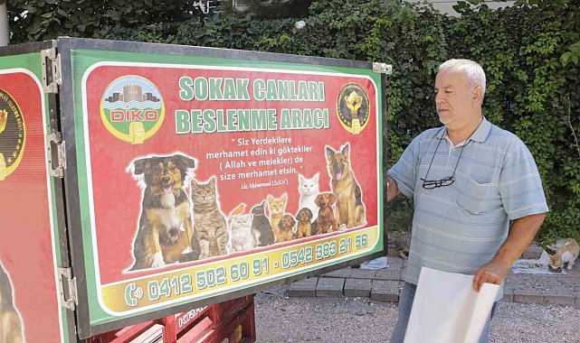 Dermanbaba Diyarbakır’da sokak hayvanları için mama fabrikası kuracak