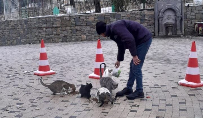 Eğil Belediyesi, sokak hayvanlarını soğukta yalnız bırakmadı